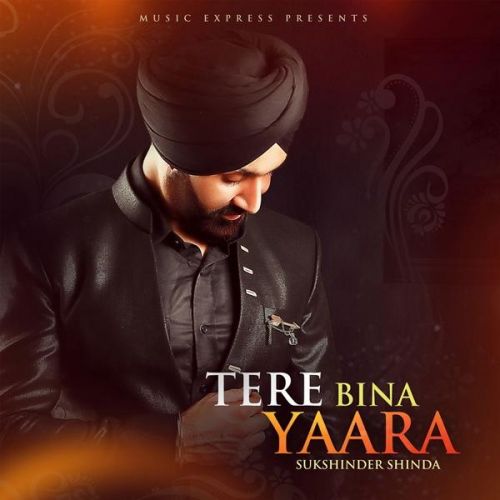 Tere Bina Yaara Sukshinder Shinda, Neetu Bhalla mp3 song free download, Tere Bina Yaara Sukshinder Shinda, Neetu Bhalla full album