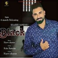 Black Sharry Sandhu mp3 song free download, Black Sharry Sandhu full album