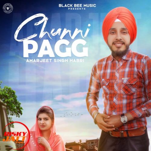 Chunni Pagg Amarjeet Singh Habri mp3 song free download, Chunni Pagg Amarjeet Singh Habri full album