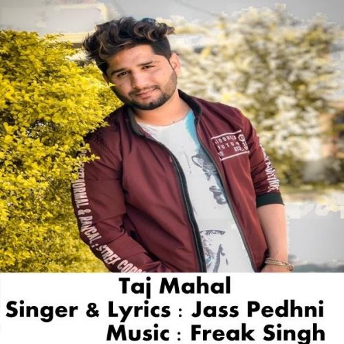 Taj Mahal Jass Pedhni mp3 song free download, Taj Mahal Jass Pedhni full album