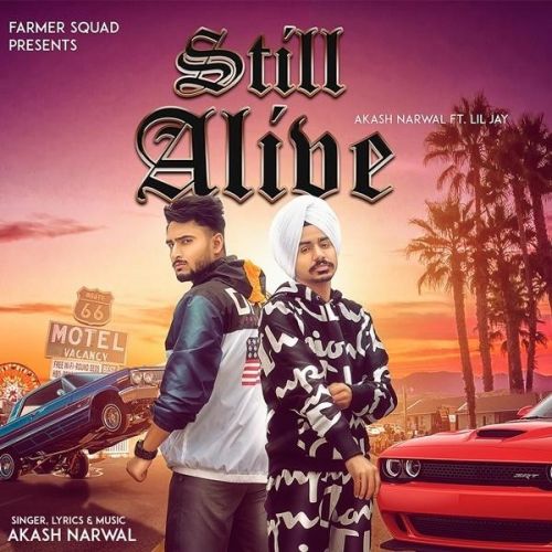 Still Alive Akash Narwal, Lil Jay mp3 song free download, Still Alive Akash Narwal, Lil Jay full album