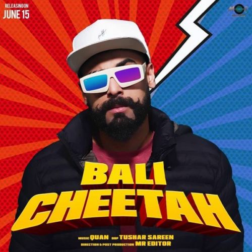 Cheetah Bali mp3 song free download, Cheetah Bali full album