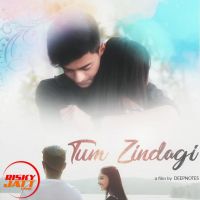 Tum Zindagi Sidhant Choudhury mp3 song free download, Tum Zindagi Sidhant Choudhury full album