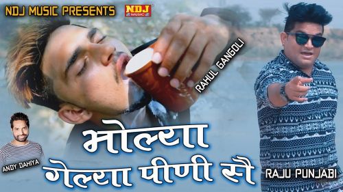 Bhola Mera Amli Raju Punjabi mp3 song free download, Bhola Mera Amli Raju Punjabi full album