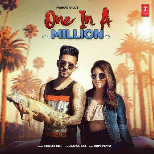 One In A Million Farhad Gill mp3 song free download, One In A Million Farhad Gill full album