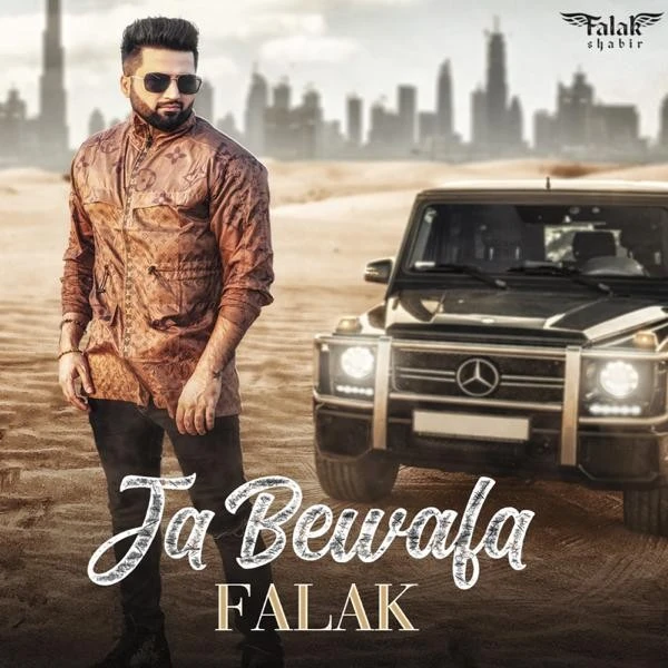Ja Bewafa Falak mp3 song free download, Ja Bewafa Falak full album