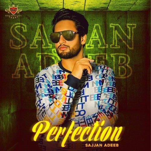 Perfection Sajjan Adeeb mp3 song free download, Perfection Sajjan Adeeb full album