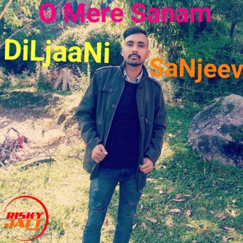 O Mere Sanam DiLjaaNi SaNjeev mp3 song free download, O Mere Sanam DiLjaaNi SaNjeev full album