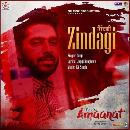 Zindagi (Amaanat) Ninja mp3 song free download, Zindagi (Amaanat) Ninja full album