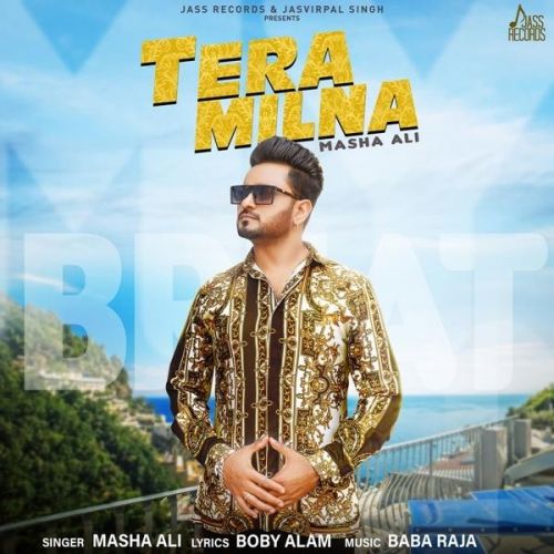 Tera Milna Masha Ali mp3 song free download, Tera Milna Masha Ali full album