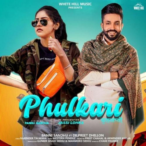 Phulkari Baani Sandhu, Dilpreet Dhillon mp3 song free download, Phulkari Baani Sandhu, Dilpreet Dhillon full album