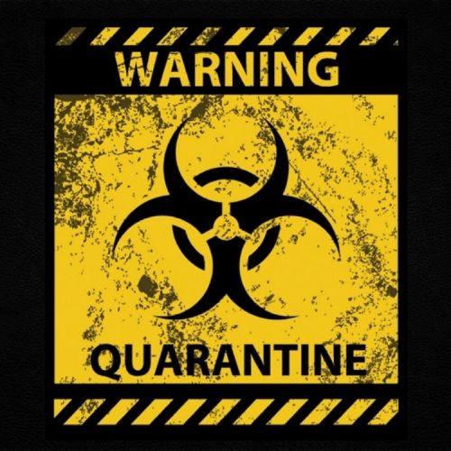 Quarantine Rav Hanjra mp3 song free download, Quarantine Rav Hanjra full album