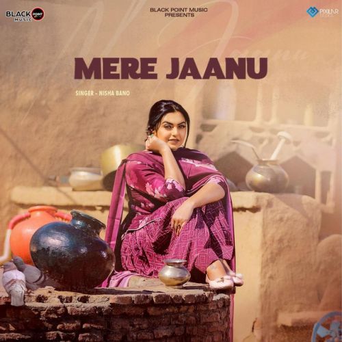 Mere Jaanu Nisha Bano mp3 song free download, Mere Jaanu Nisha Bano full album