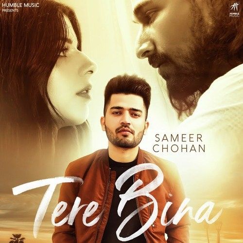 Tere Bina Sameer Chohan mp3 song free download, Tere Bina Sameer Chohan full album