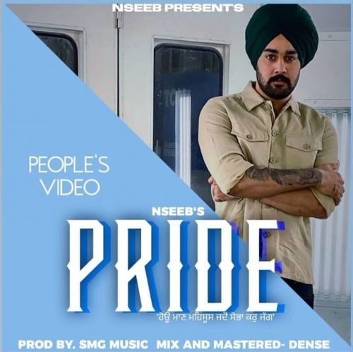 Pride Nseeb mp3 song free download, Pride Nseeb full album