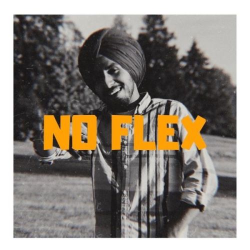 No Flex King Dhillon mp3 song free download, No Flex King Dhillon full album