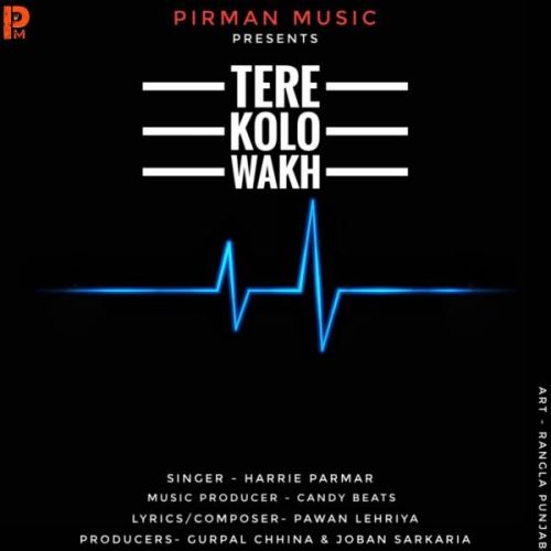 Tere Kolo Wakh Harrie Parmar mp3 song free download, Tere Kolo Wakh Harrie Parmar full album