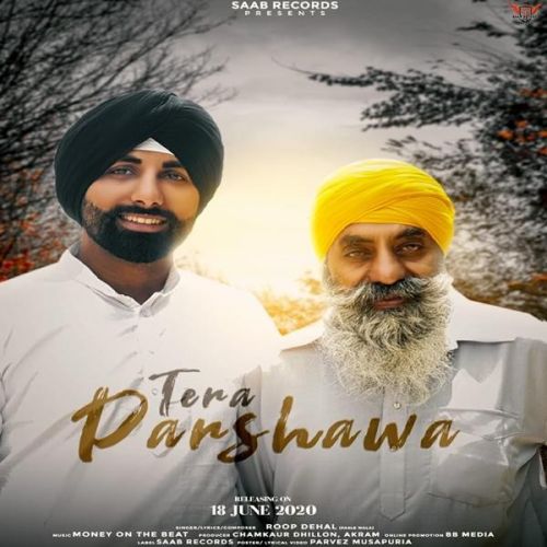 Tera Parshawa Roop Dehal mp3 song free download, Tera Parshawa Roop Dehal full album