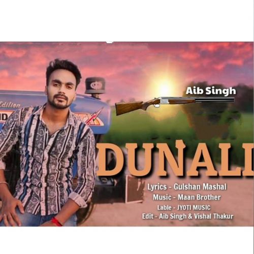 Dunali Aib Singh, Vishal Thakur mp3 song free download, Dunali Aib Singh, Vishal Thakur full album