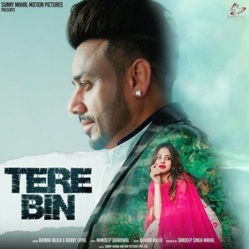 Tere Bin Bhinda Aujla mp3 song free download, Tere Bin Bhinda Aujla full album