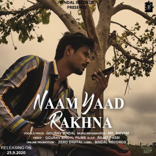 Naam Yaad Rakhna Gourav Bindal mp3 song free download, Naam Yaad Rakhna Gourav Bindal full album