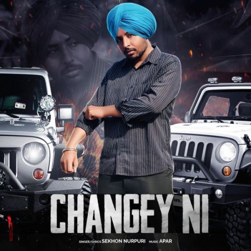 Changey ni Sekhon Nurpuri mp3 song free download, Changey ni Sekhon Nurpuri full album