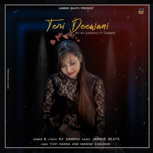 Teri Deewani Nv Sandhu mp3 song free download, Teri Deewani Nv Sandhu full album