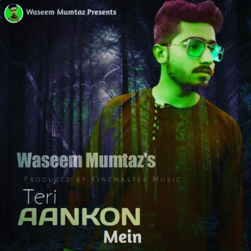 Teri Aankhon Mein Waseem Mumtaz mp3 song free download, Teri Aankhon Mein Waseem Mumtaz full album