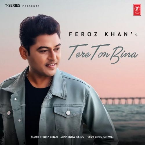 Tere Ton Bina Feroz Khan mp3 song free download, Tere Ton Bina Feroz Khan full album