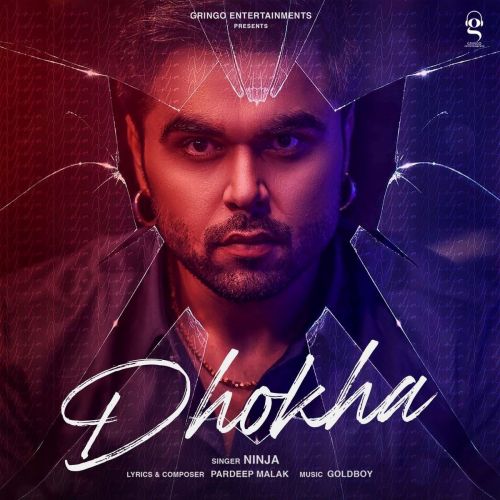 Dhokha Ninja mp3 song free download, Dhokha Ninja full album