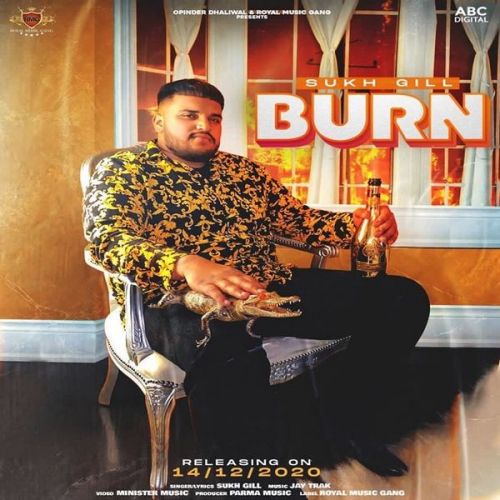Burn Sukh Gill, Parma Music mp3 song free download, Burn Sukh Gill, Parma Music full album