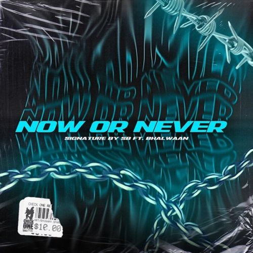 Now Or Never By Bhalwaan full mp3 album downlad