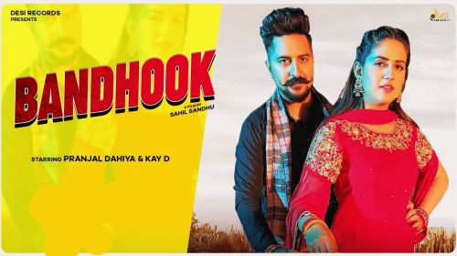 Bandhook Mahi Panchal, Tarun Panchal mp3 song free download, Bandhook Mahi Panchal, Tarun Panchal full album