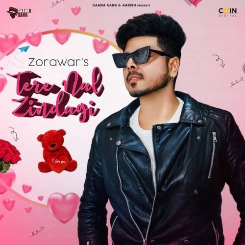 Tere Nal Zindagi Zorawar mp3 song free download, Tere Nal Zindagi Zorawar full album