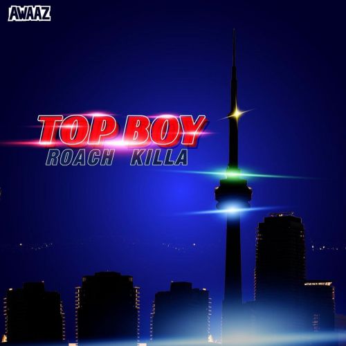 Top Boy Roach Killa mp3 song free download, Top Boy Roach Killa full album