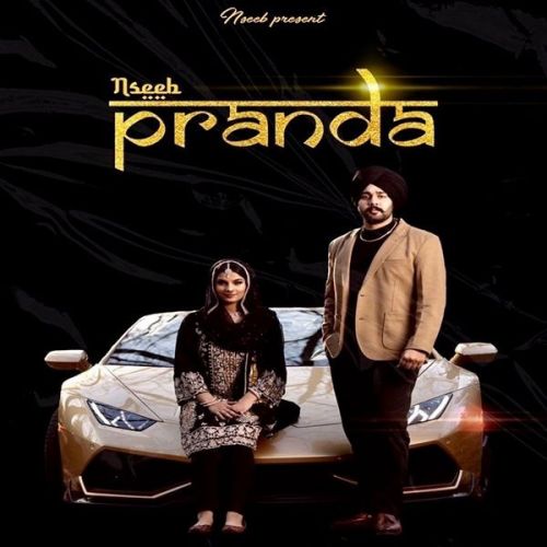 Paranda Nseeb mp3 song free download, Paranda Nseeb full album