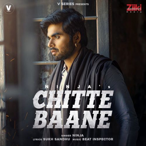 Chitte Baane Ninja mp3 song free download, Chitte Baane Ninja full album