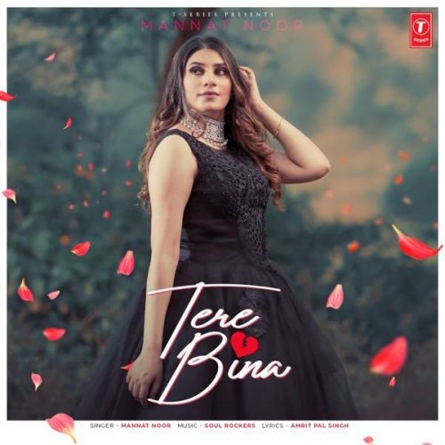 Tere Bina Mannat Noor mp3 song free download, Tere Bina Mannat Noor full album