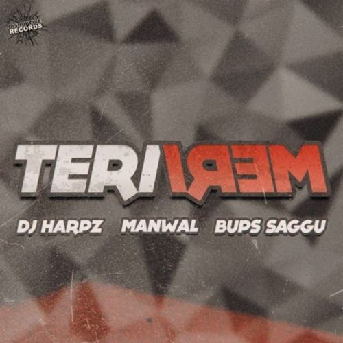 Teri Meri Manwal mp3 song free download, Teri Meri Manwal full album