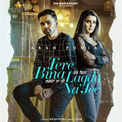 Tere Bina Lagda Na Jee Arsh Punia mp3 song free download, Tere Bina Lagda Na Jee Arsh Punia full album