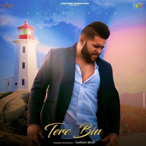 Tere Bin Harnav Brar mp3 song free download, Tere Bin Harnav Brar full album