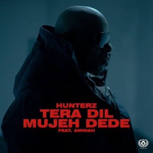 Tera Dil Mujeh Dede Hunterz mp3 song free download, Tera Dil Mujeh Dede Hunterz full album