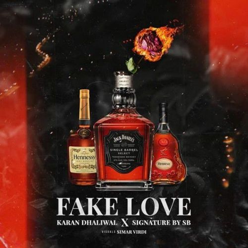 Fake Love Karan Dhaliwal mp3 song free download, Fake Love Karan Dhaliwal full album