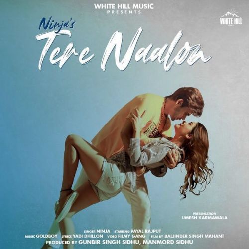 Tere Naalon Ninja mp3 song free download, Tere Naalon Ninja full album