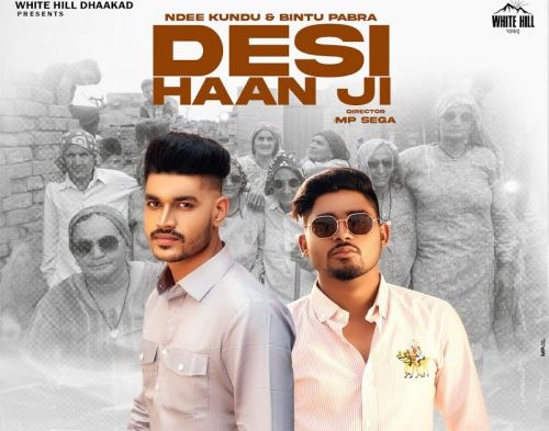 Desi Haan Ji Ndee Kundu mp3 song free download, Desi Haan Ji Ndee Kundu full album