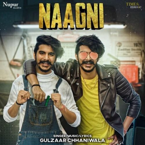 Naagni Gulzaar Chhaniwala mp3 song free download, Naagni Gulzaar Chhaniwala full album