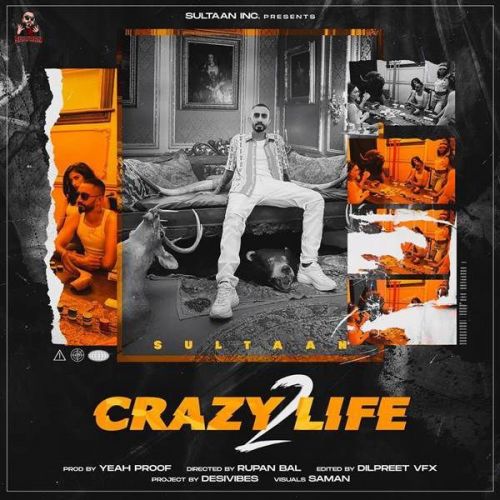 Crazy Life 2 Sultaan mp3 song free download, Crazy Life 2 Sultaan full album