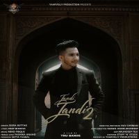 Jandi Jandi 2 Seera Buttar mp3 song free download, Jandi Jandi 2 Seera Buttar full album