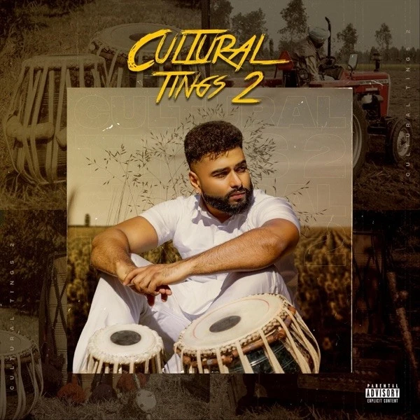 Intro AK mp3 song free download, Cultural Tings 2 AK full album