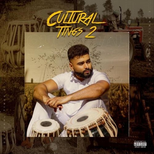 Outro AK mp3 song free download, Cultural Tings 2 AK full album